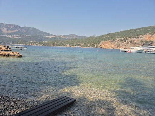 Yorum fotoğrafı 5