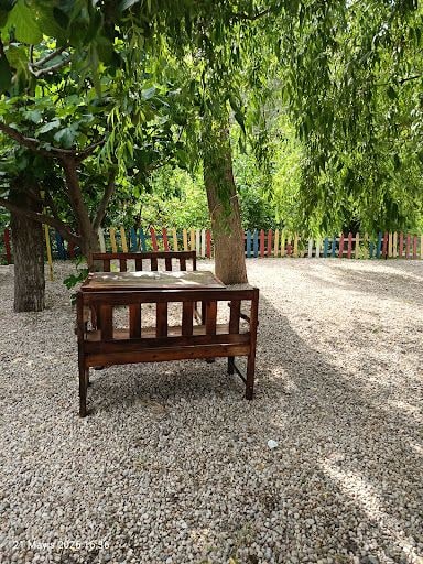Yorum fotoğrafı 6