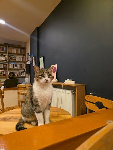 Yorum fotoğrafı 2