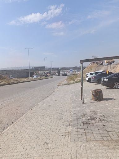 Yorum fotoğrafı 9