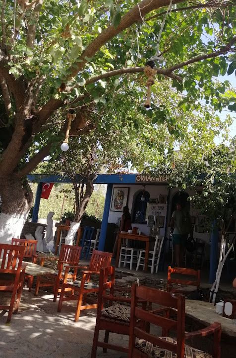 Fotoğraf 65
