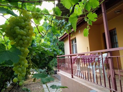 Yorum fotoğrafı 4