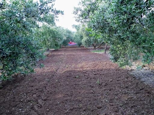 Yorum fotoğrafı 5