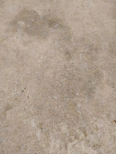 Yorum fotoğrafı 10