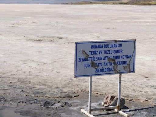 Yorum fotoğrafı 9