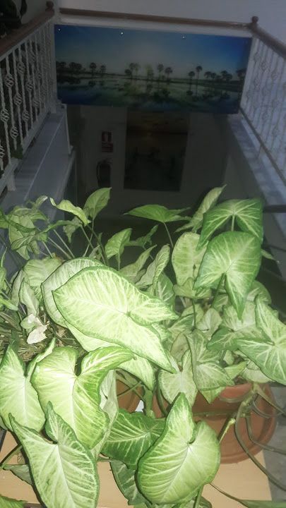 Fotoğraf 13