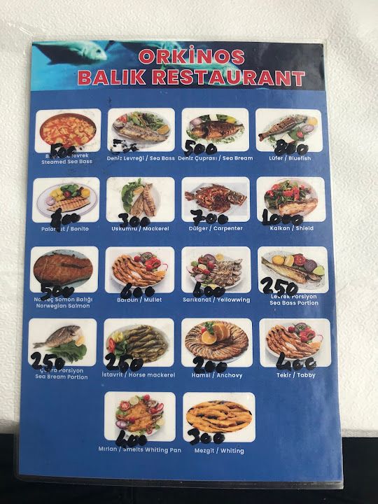 Fotoğraf 22