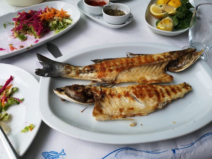 Fotoğraf 19