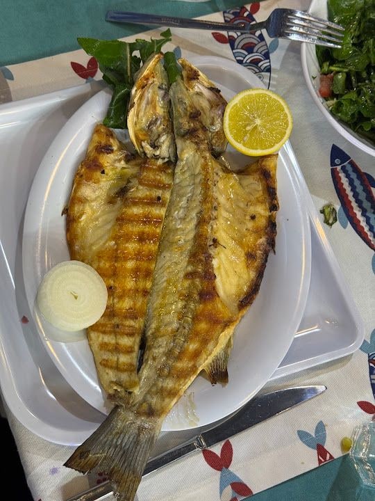 Fotoğraf 29