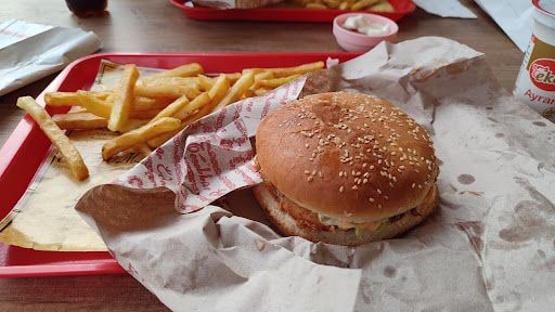 Fotoğraf 16