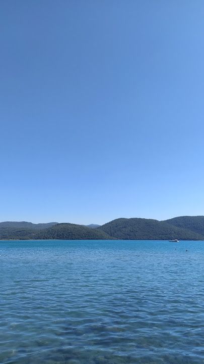 Fotoğraf 39
