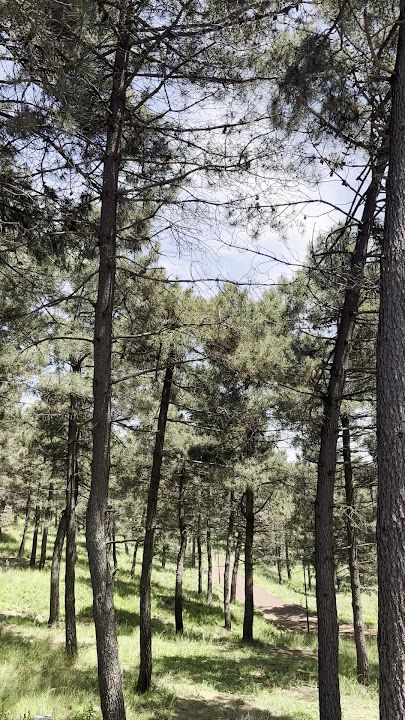 Fotoğraf 28