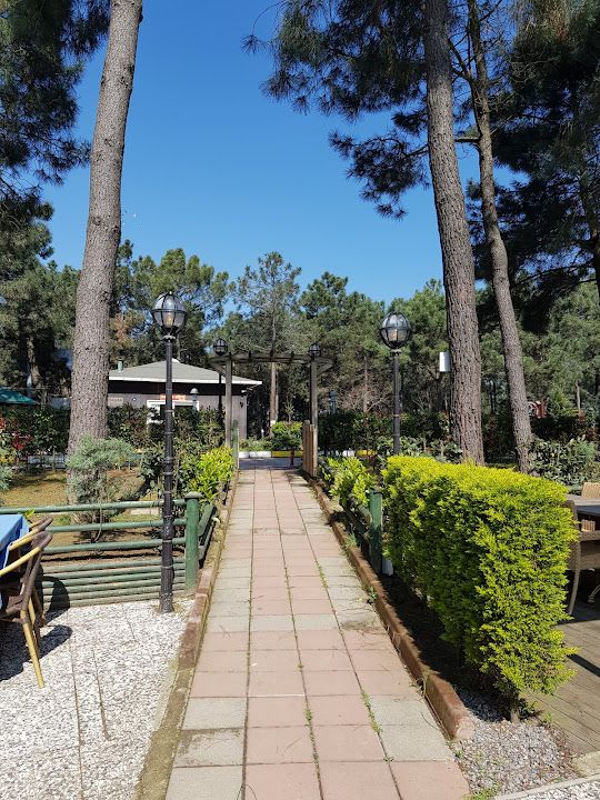 Yorum fotoğrafı 3