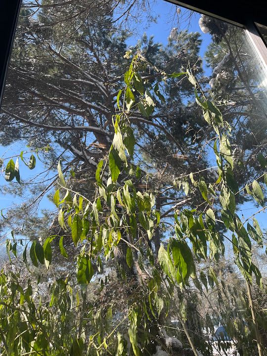 Fotoğraf 31