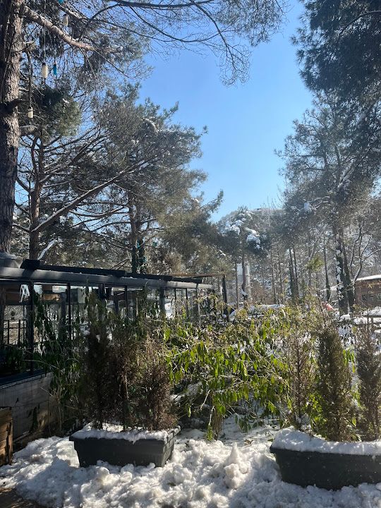 Fotoğraf 29