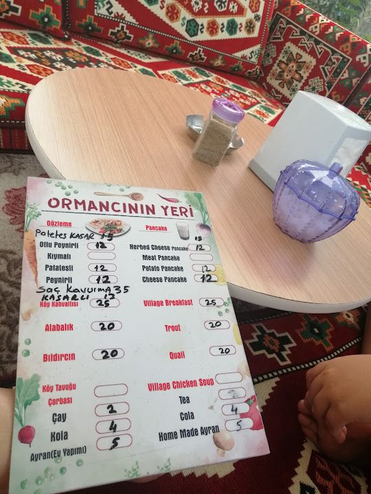 Fotoğraf 16