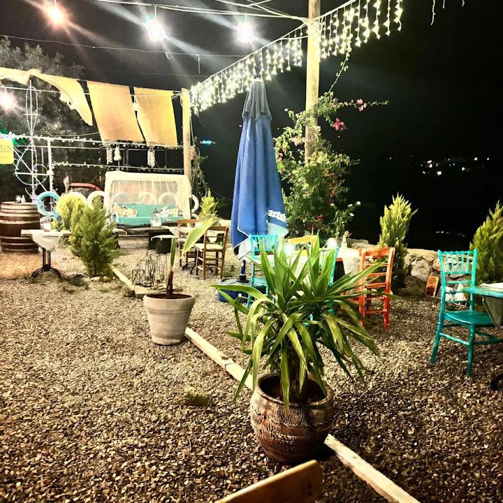 Fotoğraf 29