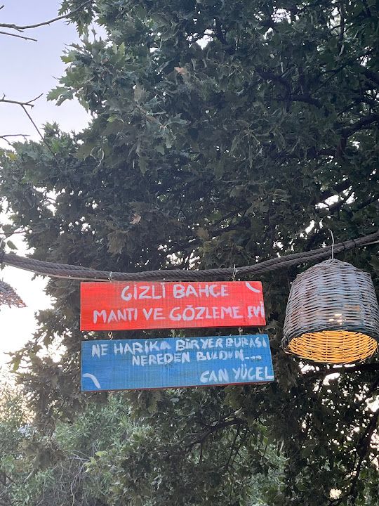 Fotoğraf 28