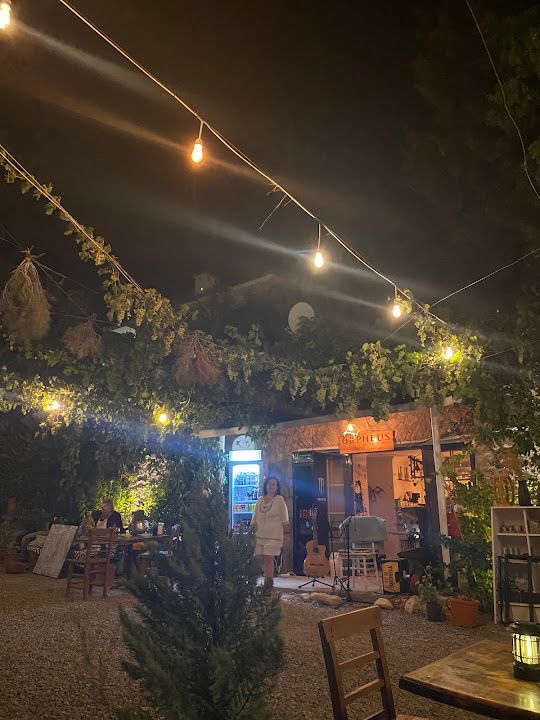 Yorum fotoğrafı 4