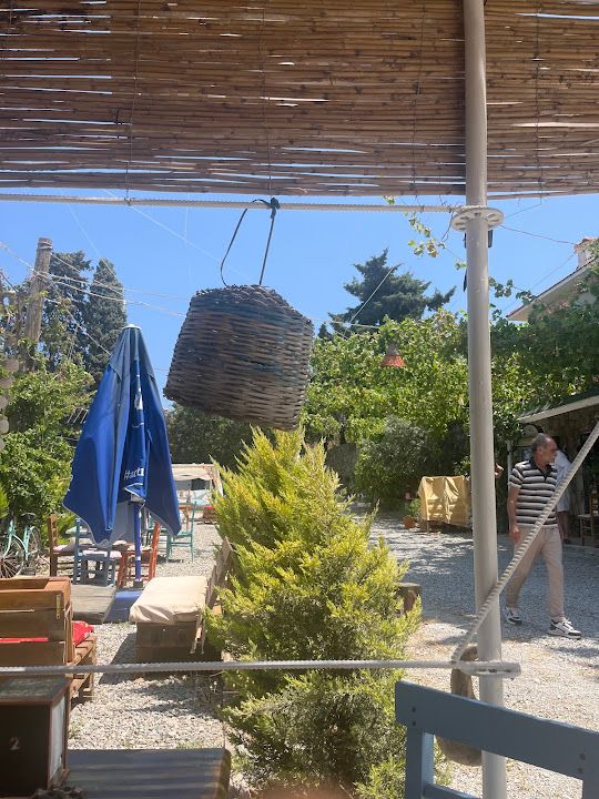 Yorum fotoğrafı 4