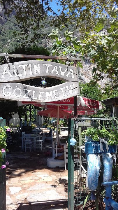 Altın Tava Gözleme Evi