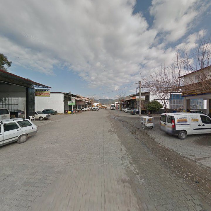 Fotoğraf 8