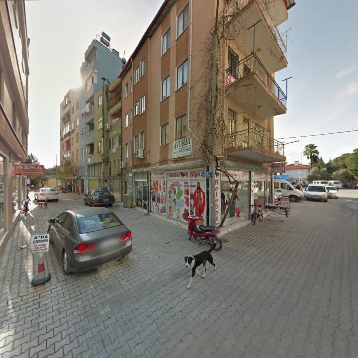 Fotoğraf 11