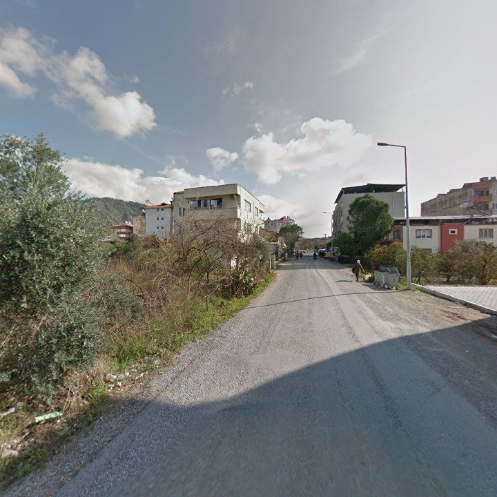 Fotoğraf 7