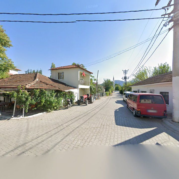 Fotoğraf 7