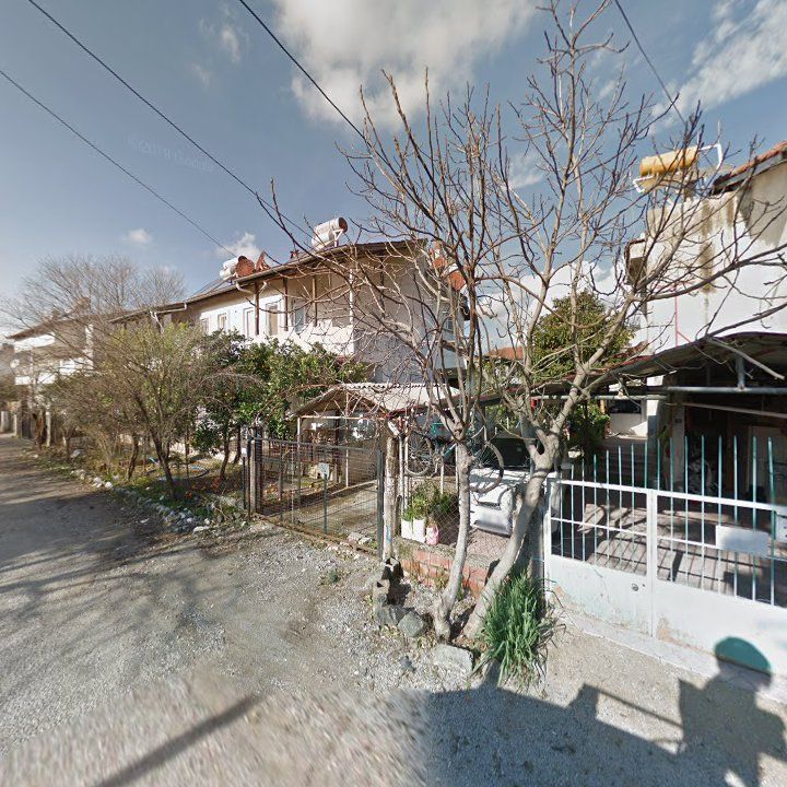 Fotoğraf 10