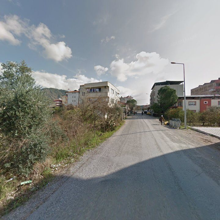 Fotoğraf 8