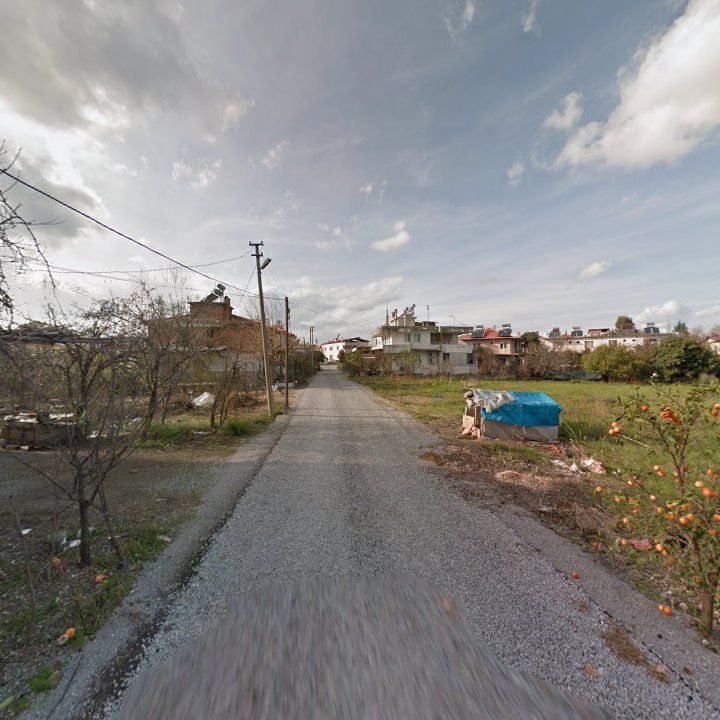 Fotoğraf 6