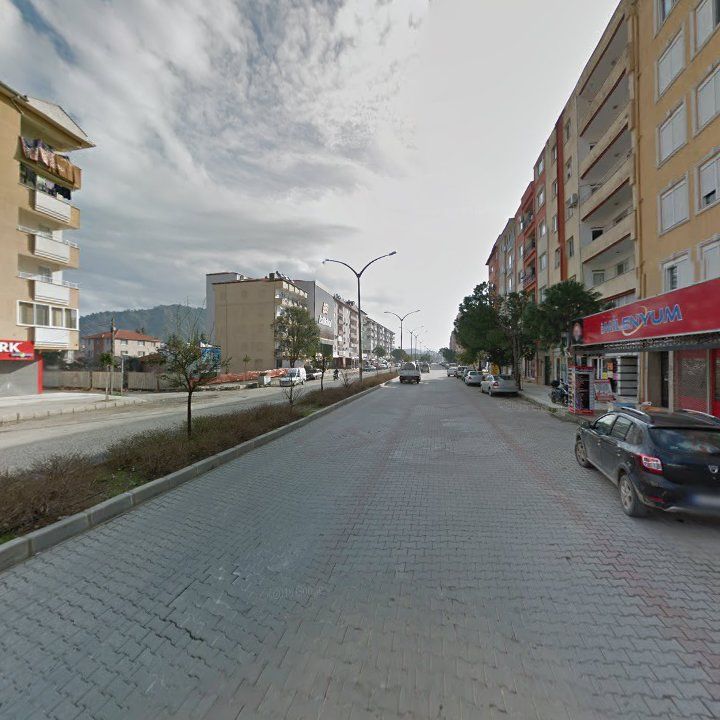 Fotoğraf 8
