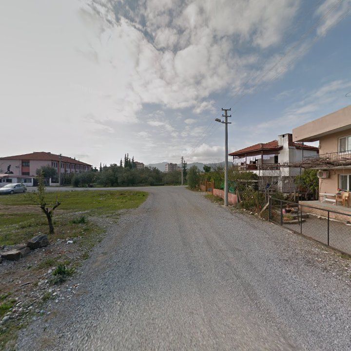 Fotoğraf 7