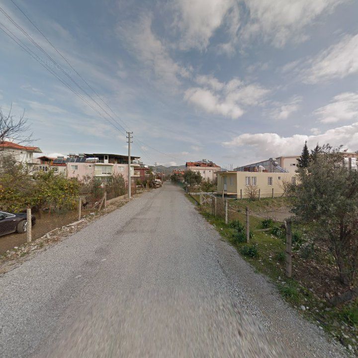 Fotoğraf 9