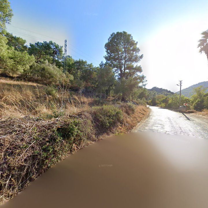 Fotoğraf 11