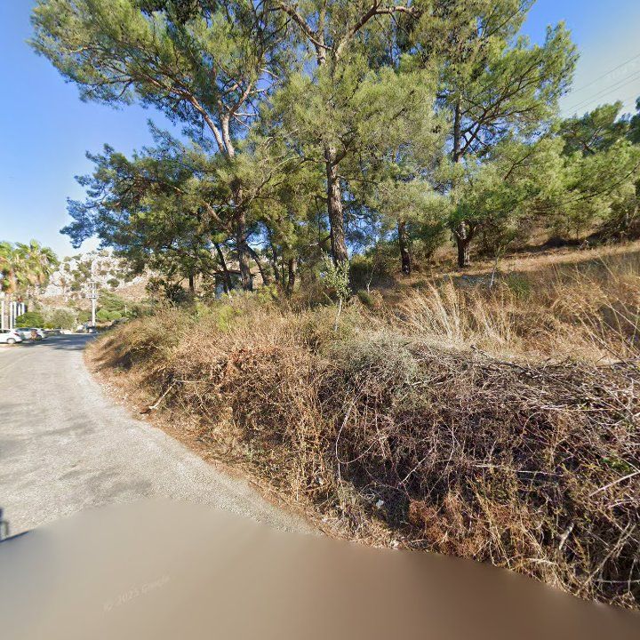 Fotoğraf 10