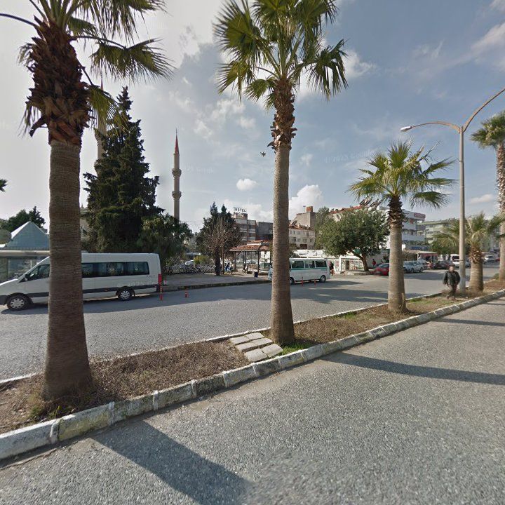 Fotoğraf 7