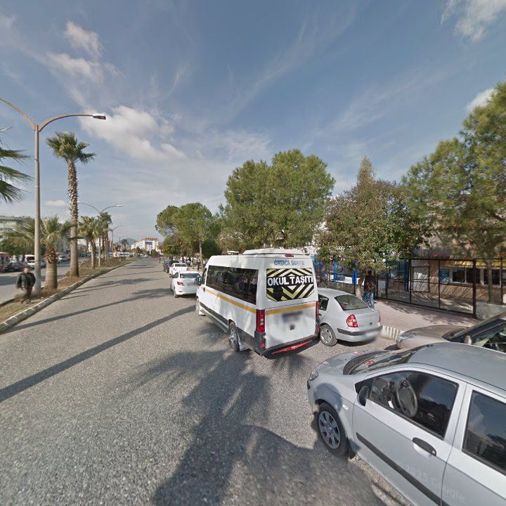 Fotoğraf 8