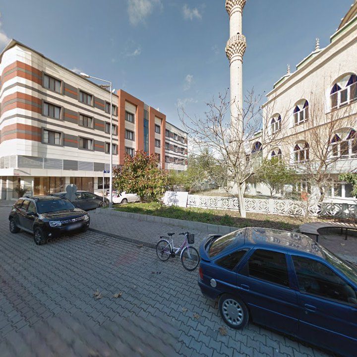 Fotoğraf 7