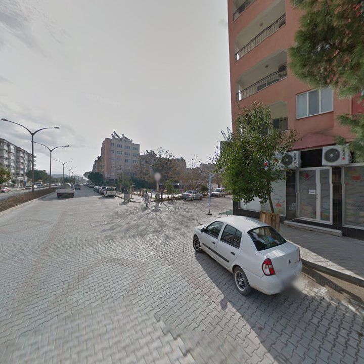 Fotoğraf 9