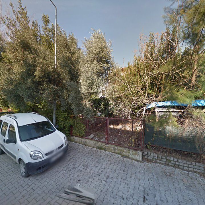 Fotoğraf 9