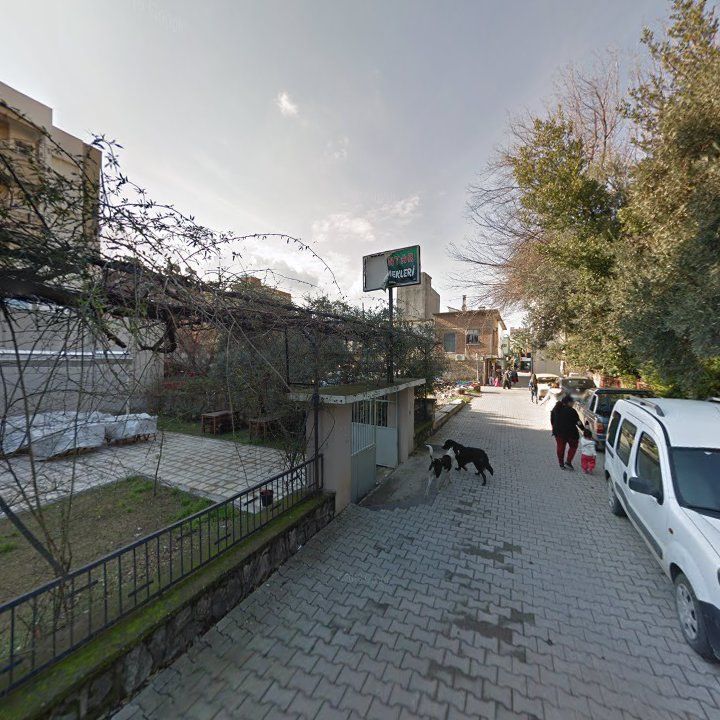 Fotoğraf 8