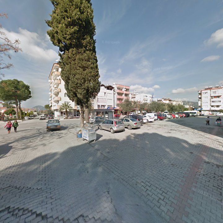 Fotoğraf 7