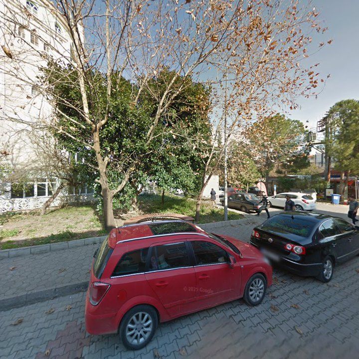 Fotoğraf 7