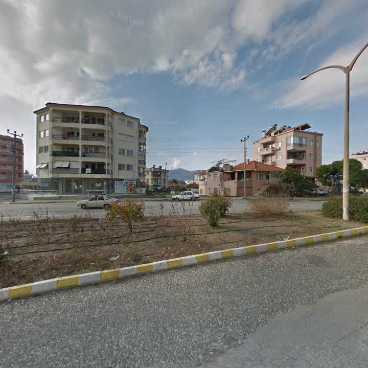Fotoğraf 10