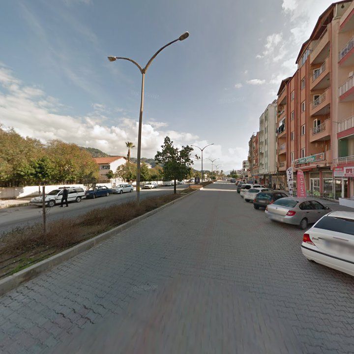 Fotoğraf 10