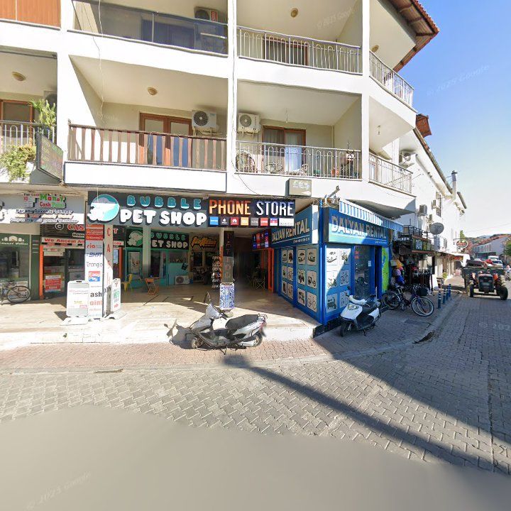 Fotoğraf 11