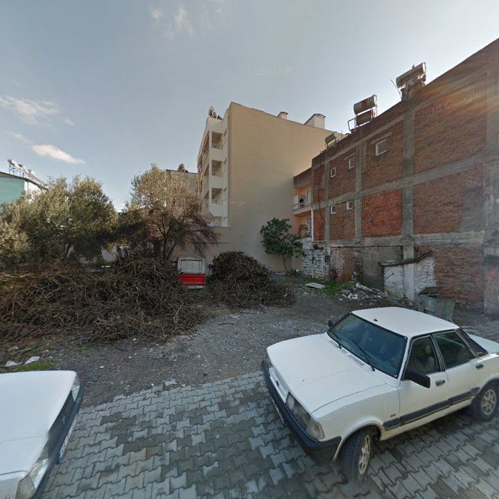 Fotoğraf 8