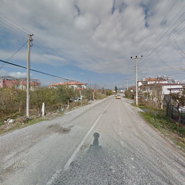 Fotoğraf 9
